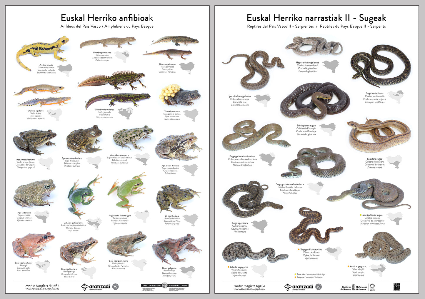 Anfibios de Euskal Herria + Reptiles de Euskal Herria II - Serpientes
