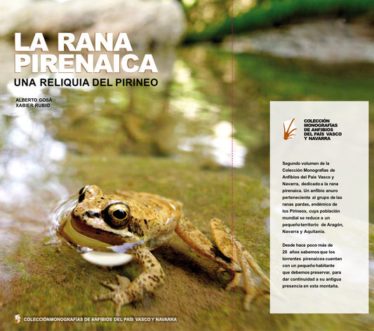 Rana pirenaica: Una reliquia del Pirineo
