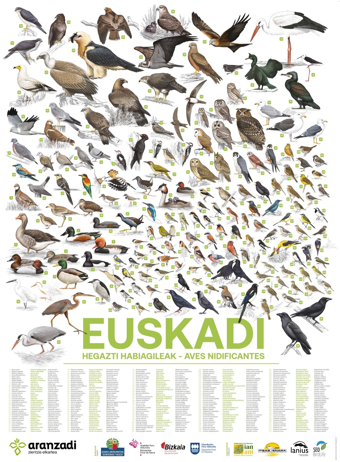 Aves nidifincates de Euskadi