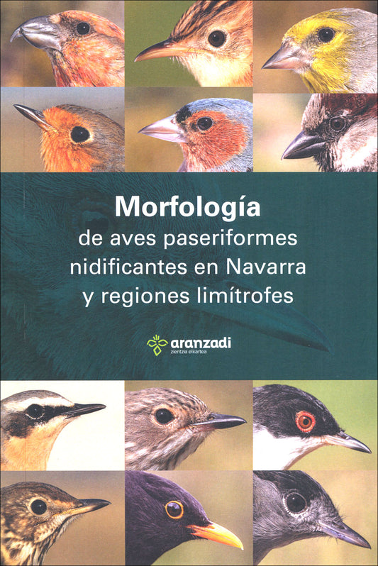 Morfología de aves paseriformes en Navarra y territorios limítrofes