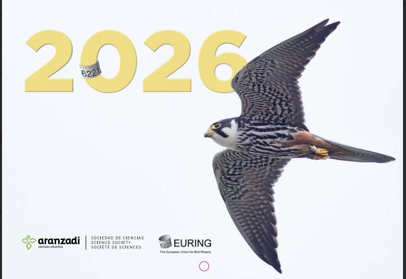 Calendario 2026 Aves
